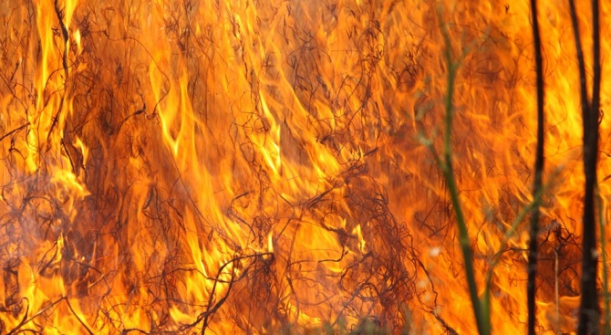Сухи треви горят до пловдивското село Йоаким Груево 