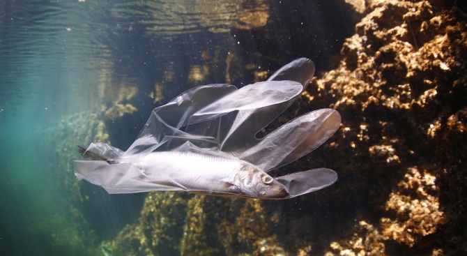 Все повече пластмасови отпадъци в Черно море, най-много боклуци се вливат от Дунав