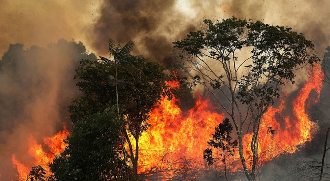 Правителството няма достатъчно ресурси, за да се справи с пожарите в Амазония