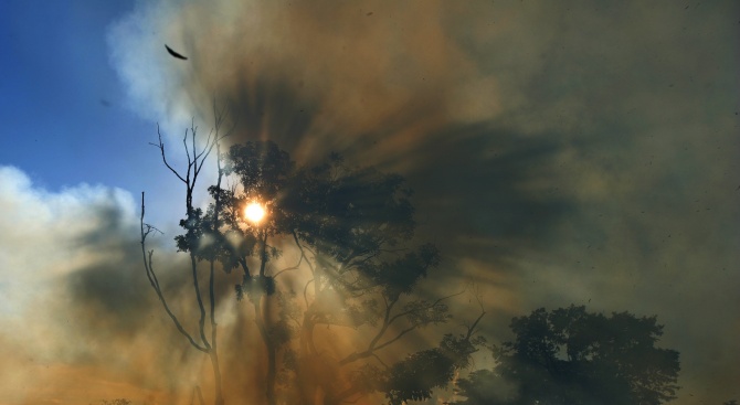 Пожарите в Амазония вече са световен проблем