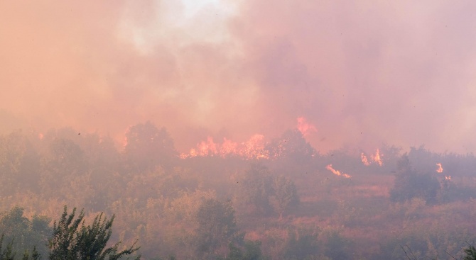 Голям пожар е избухнал между харманлийските села Поляново и Преславец