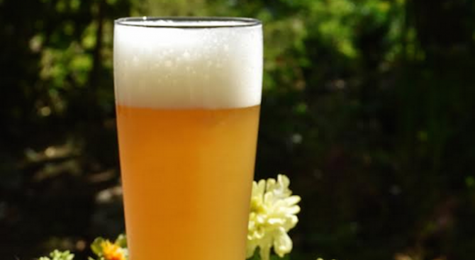 За пръв път в България изследваха съдържанието на ксантохумол в бирата