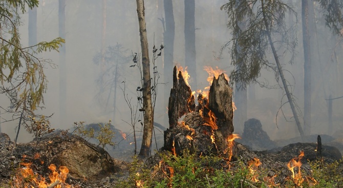 Пожарите в Сливенска област са овладени