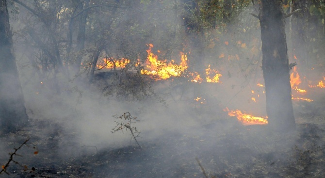 Пожар бушува край град Чанаккале 