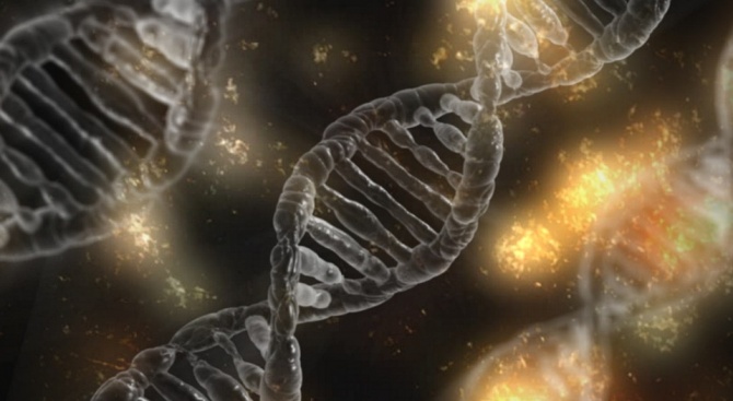 СЗО създава регистър на модификациите на човешкия геном