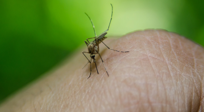 Дрехите с графен пазят от комари