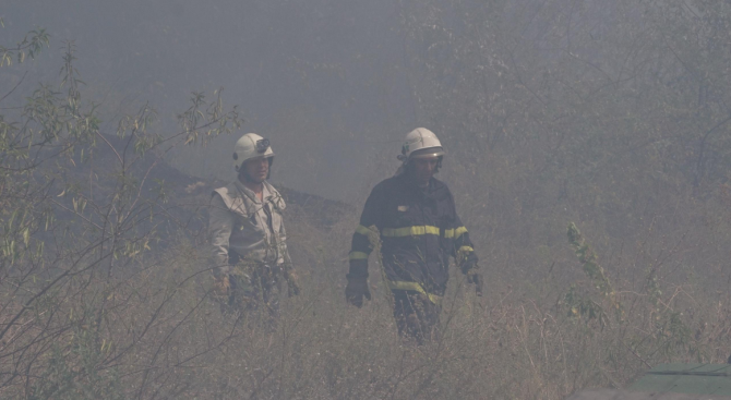 Разследват три версии за пожара в парк "Борова гора" в Стара Загора