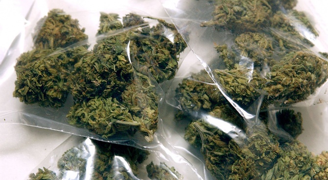 5 кг марихуана са иззети при проверка на кола 