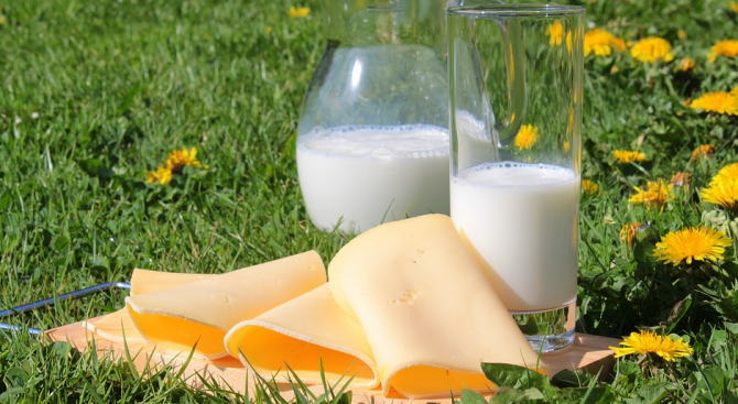 Млечни продукти, плодове и зеленчуци за учениците благодарение на програма на ЕС 