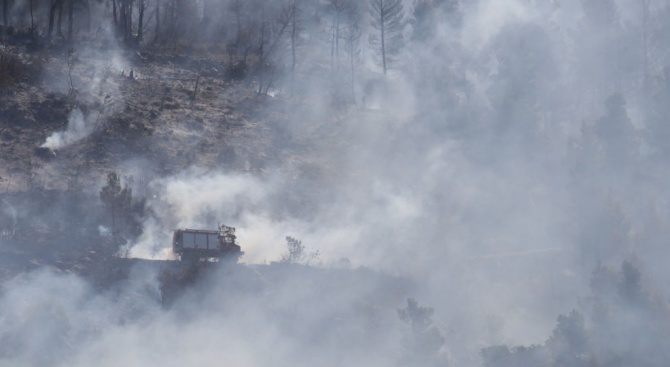 35 хектара горски площи изгоряха при пожар в Анталия
