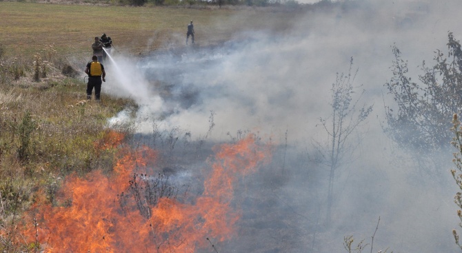 Пожар гори до село Горски извор