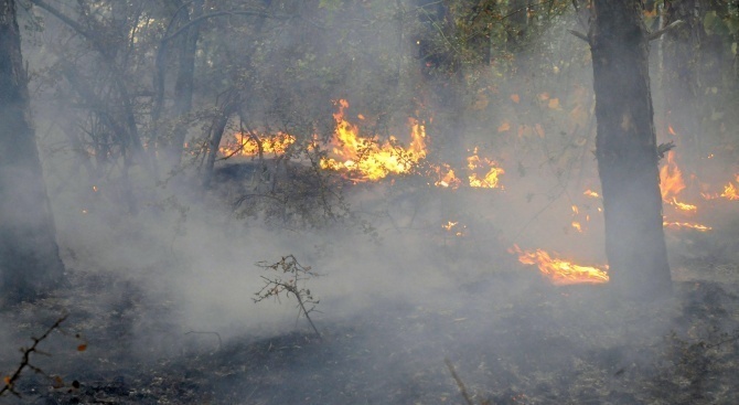 Голям пожар пламна в местност над Котел
