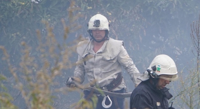 Горски пожар гори на тежък терен край язовир Батак