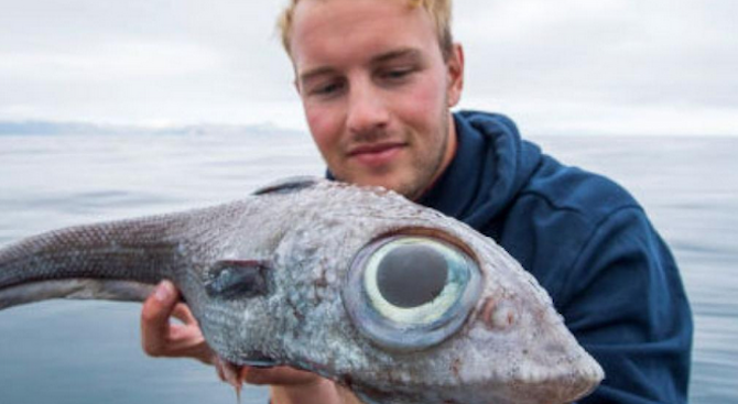 Норвежец улови необичайна риба