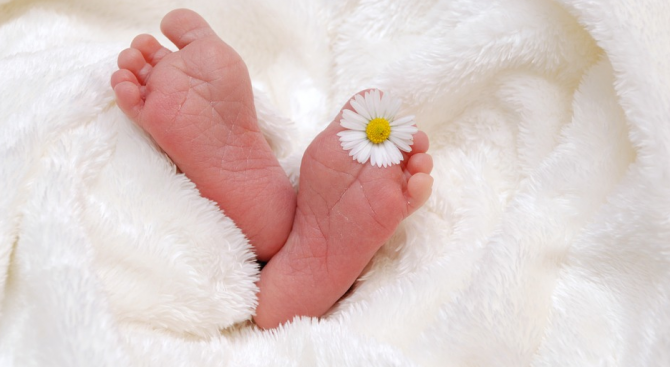 Откриха 2246 мъртви бебета в дома на починал гинеколог