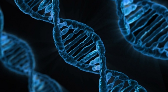 Генна мутация води до остра миелоидна левкемия