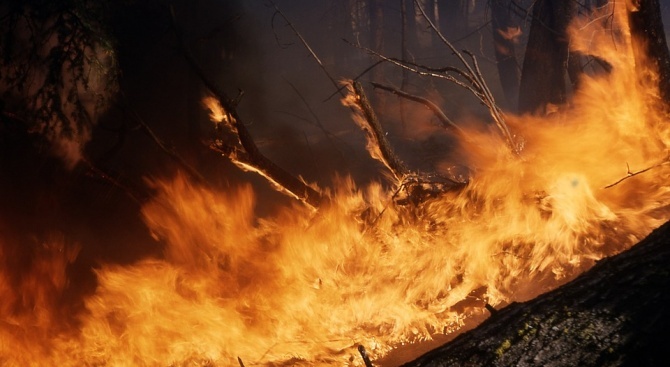 Бенефициенти на ДФЗ с глоби за запалени стърнища при установени 103 пожара
