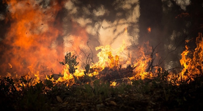 Над 3000 декара сухи треви и храсти са изгорели край монтанското село Славотин