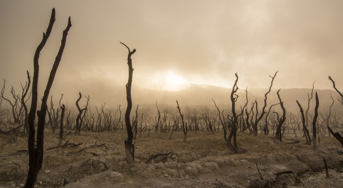 Климатичните промени правят феномените Ел Ниньо по-силни 