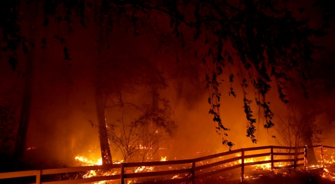 МВнР: Няма данни за пострадали български граждани при горските пожари в Калифорния