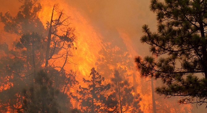 Горските пожари в ЕС са унищожили 178 000 хектара гори и земя през 2018 г.