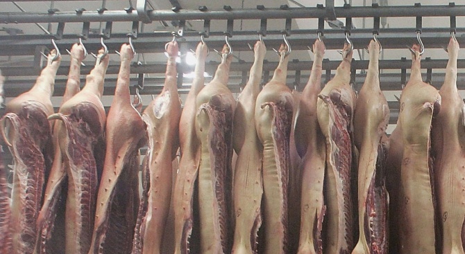 АЧС лишава света от месо?