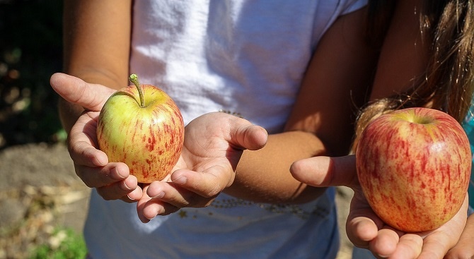 Стартира инициатива за здравословно и балансирано хранене на ученици