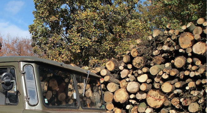 Откриха незаконна дървесина във Великотърновско