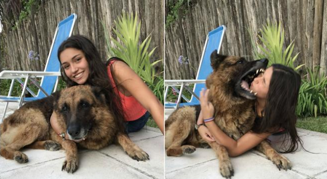 Момиче опита да направи фотосесия с кучето си, но после съжали