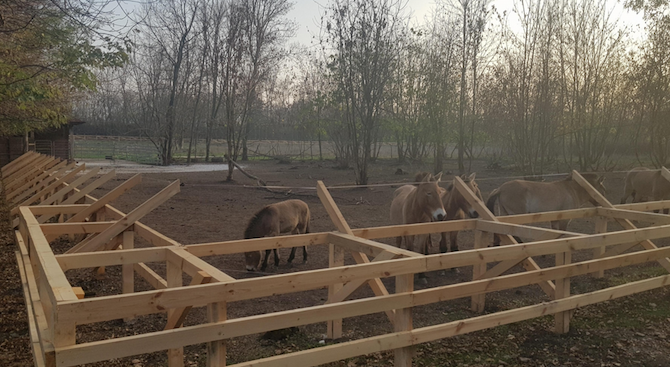 Ремонтираха къщички на животни в зоопарка в Добрич 