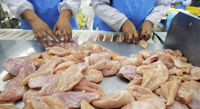 Има ли заразено птиче месо на българския пазар? 