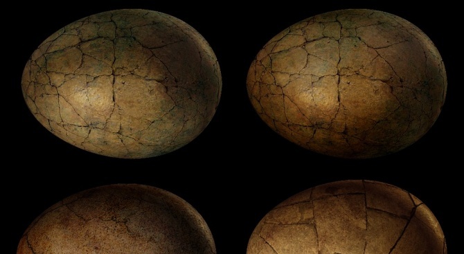 Откриха три добре запазени динозавърски яйца в Китай