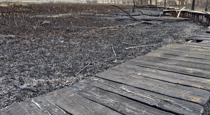 Прокуратурата подхвана пожара в Дуранкулашкото езеро