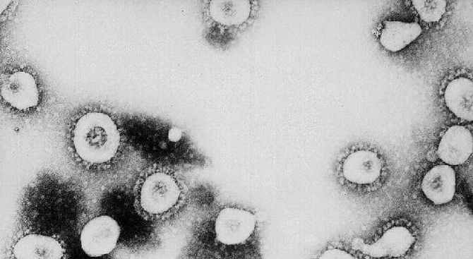 Учен: Новият коронавирус може да бъде открит в рамките на 3-5 часа