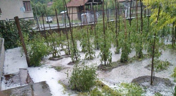 Създаването на гаранционен фонд за покриване на щети от природни бедствия ще даде голямо предимство на земеделския сектор