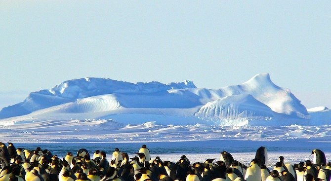 Метеоролози регистрираха рекордно висока температура в Антарктида 