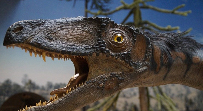 В Аржентина бяха открити останките на нов вид малък динозавър 