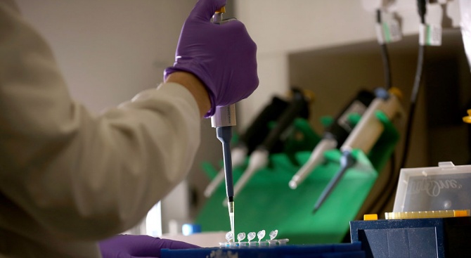 Компании в САЩ се надяват да подготвят 150 млн. дози ваксини срещу коронавируса