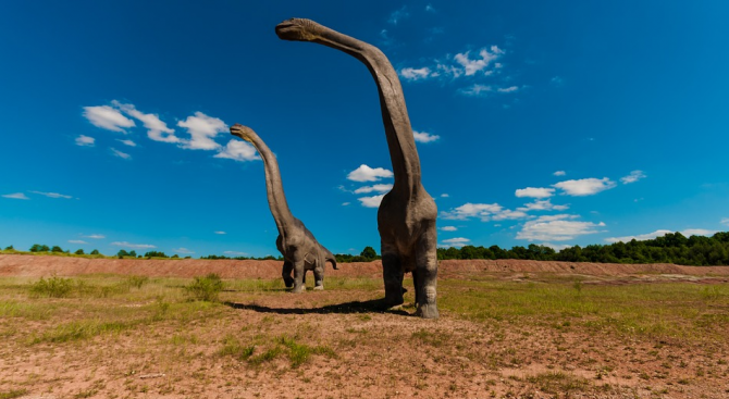 Изчислиха продължителността на денонощието в епохата на динозаврите