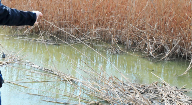 РИОСВ и Басейнова дирекция провериха сигнал за замърсяване на Варненското езеро 