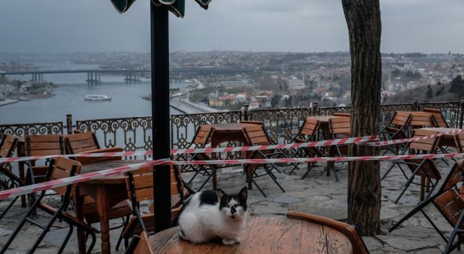 Само котките останаха по улиците на Истанбул