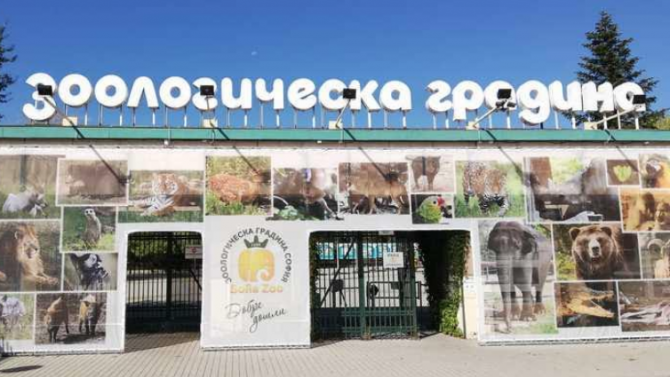 За Деня на детето Зоологическата градина на София ще е със свободен достъп