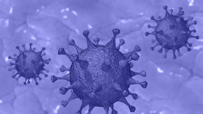 Активните случаи на коронавирус в област Видин са 39