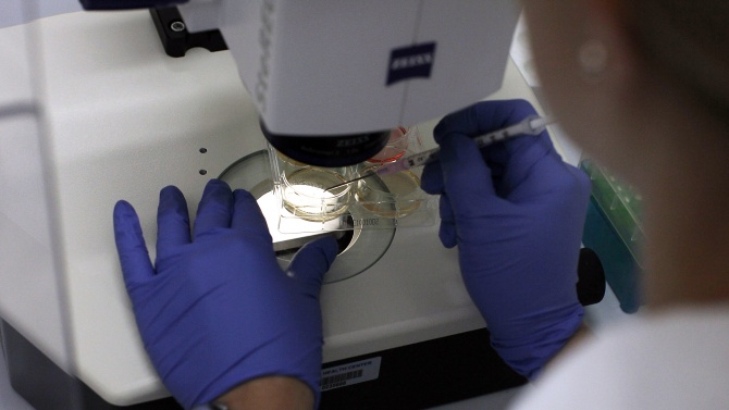 Учени създадоха лепенка с микроигли за доставка на стволови клетки в тъкани