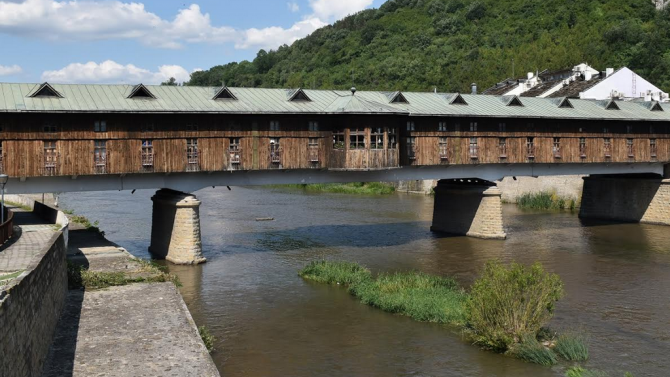 Община Ловеч е взела мерки да реагира при поява на водни змии в градска среда
