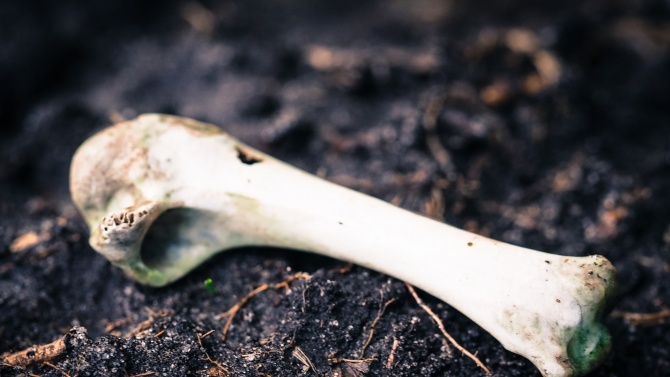 Намериха човешки кости в горнооряховското село Поликраище 