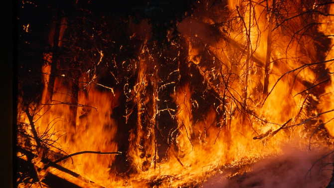 Пожар изпепели 30 хектара гори в турския окръг Чанаккале