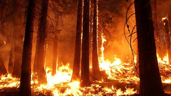 Пожар, вероятно предизвикан от взрив на мотоциклет, унищожил 800 хектара гора в района на Мадрид