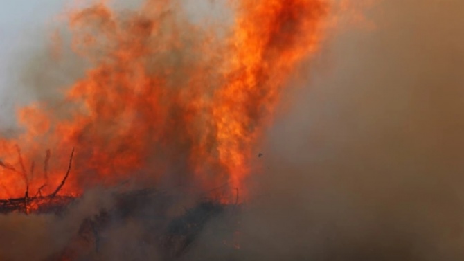 Локализиран е пожарът край Любимец