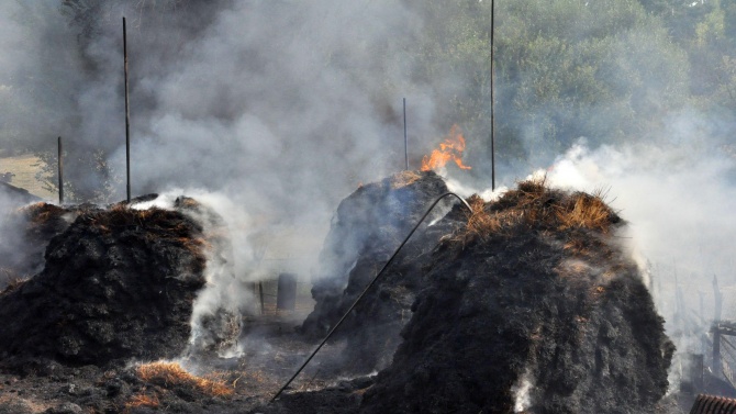 ДФЗ призовава стопаните да уведомят за опожарените си площи